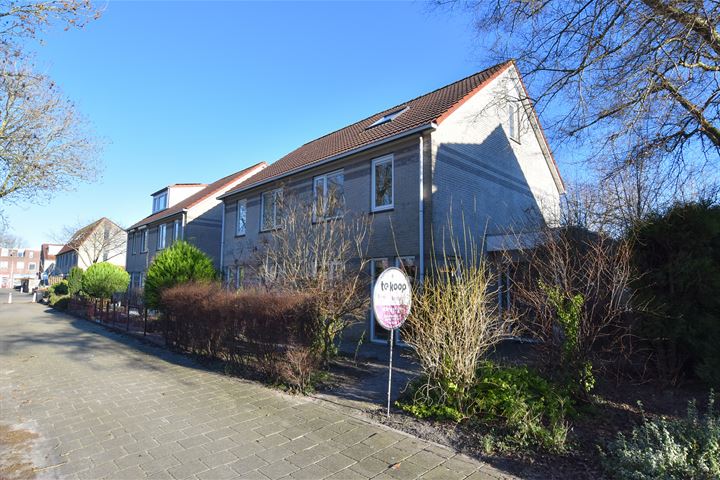 Bekijk foto 34 van Moldau 21