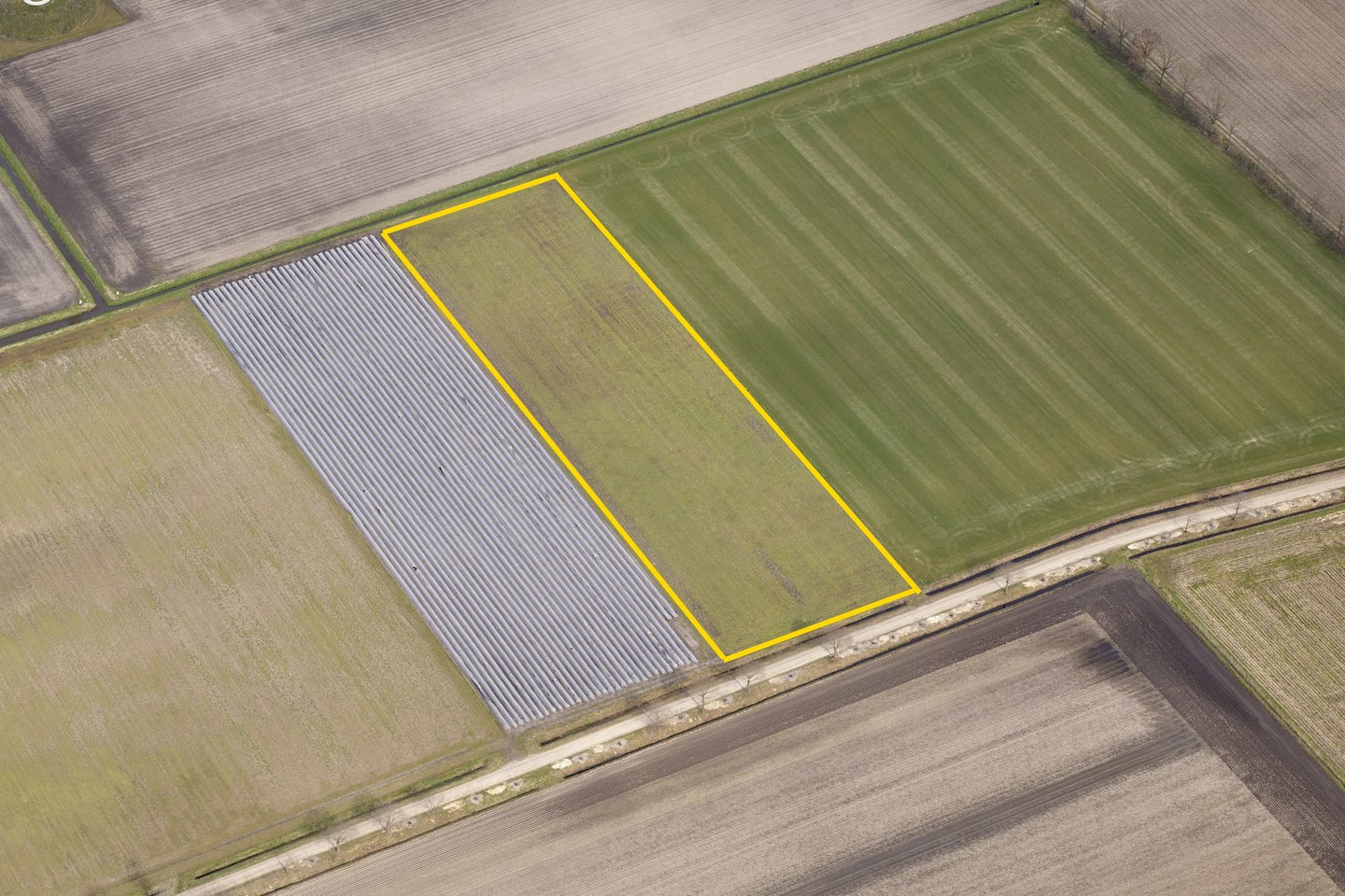 Bekijk foto 3 van Preuskesdijk