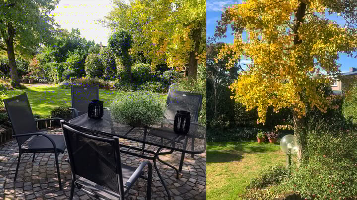 Foto 6 van Altaarstraat 29