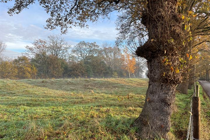 Bekijk foto 4 van Dortherweg