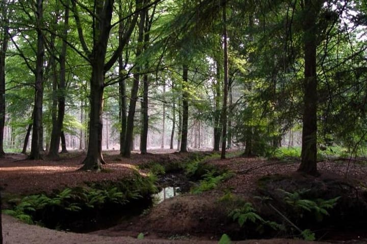 Foto 73 van Kaarsenmaker 12