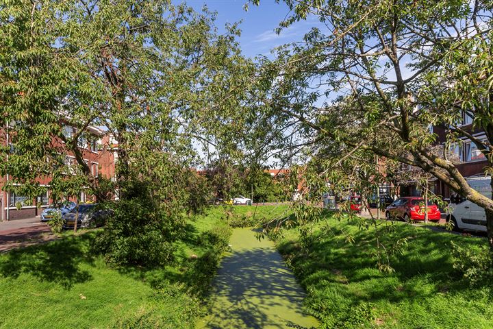 Bekijk foto 20 van Vreeswijkstraat 733