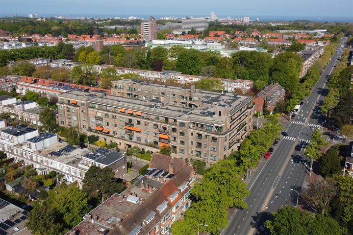 Bekijk foto 49 van Van Alkemadelaan 350-113