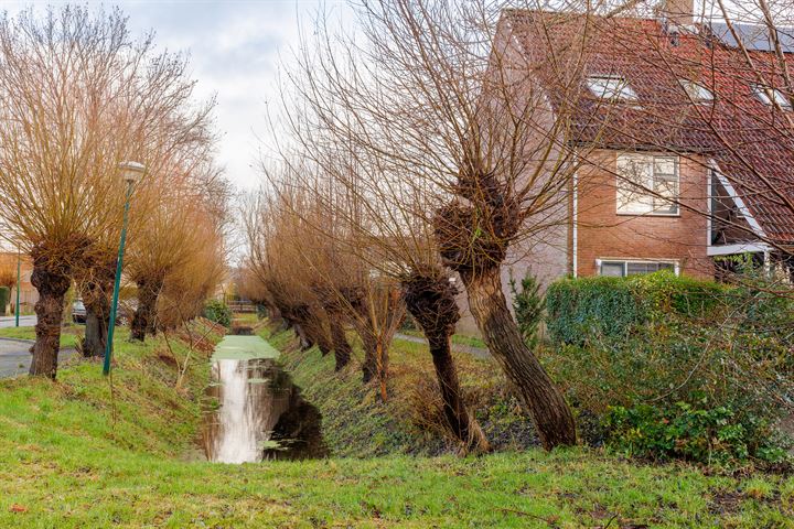 Bekijk foto 44 van Groenbergen 7