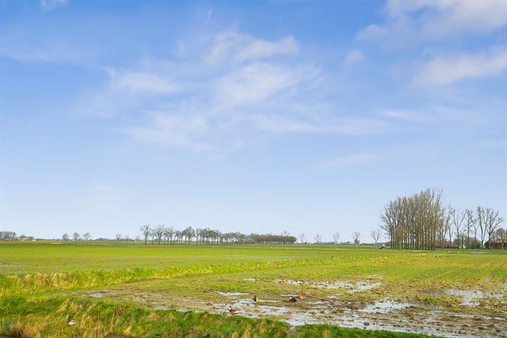 Bekijk foto 48 van Janseniuslaan 82