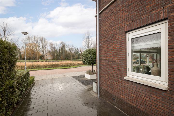 Bekijk foto 39 van Roerdomp 8