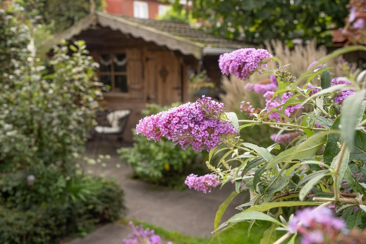 Bekijk foto 43 van Keizershof 16