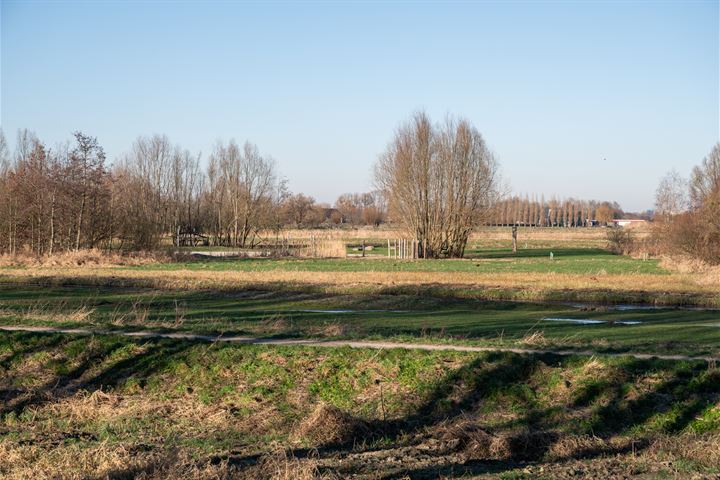 Bekijk foto 4 van Bieslookveld 18