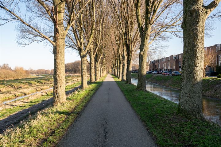 Bekijk foto 45 van Bieslookveld 18