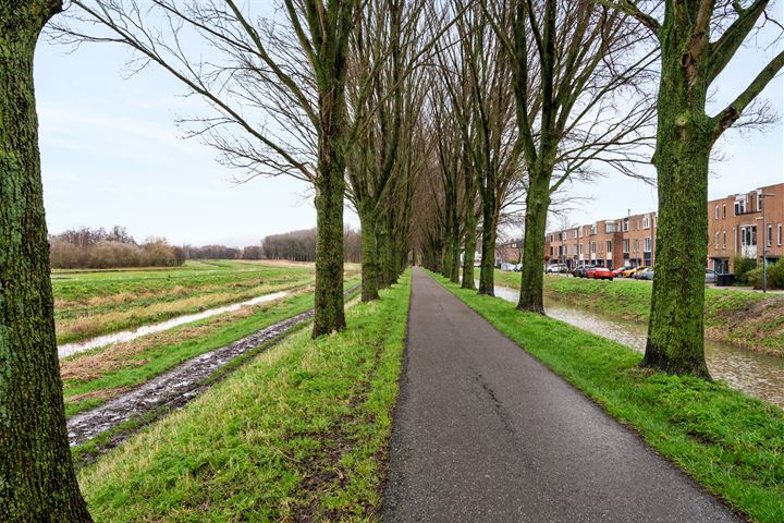 Bekijk foto 44 van Bieslookveld 18