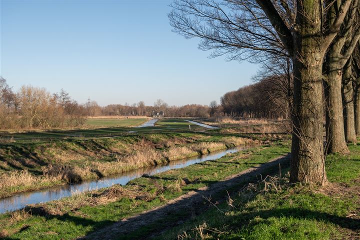 Bekijk foto 46 van Bieslookveld 18