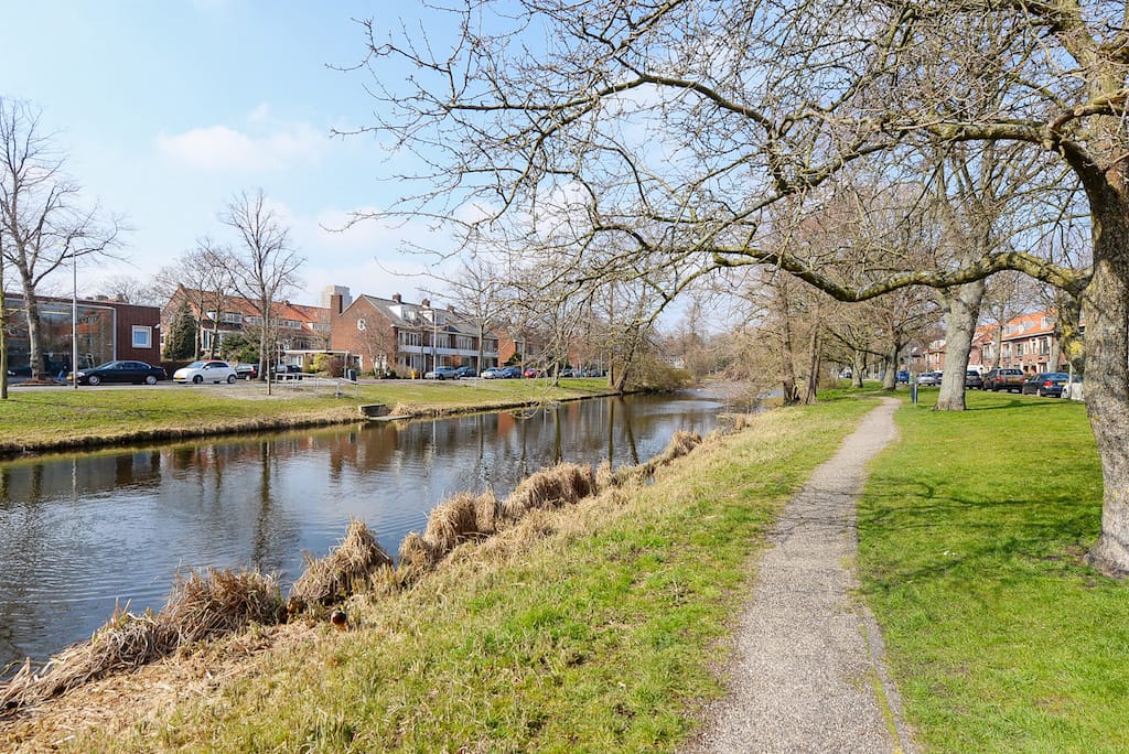 Foto 44 van Westplantsoen 182