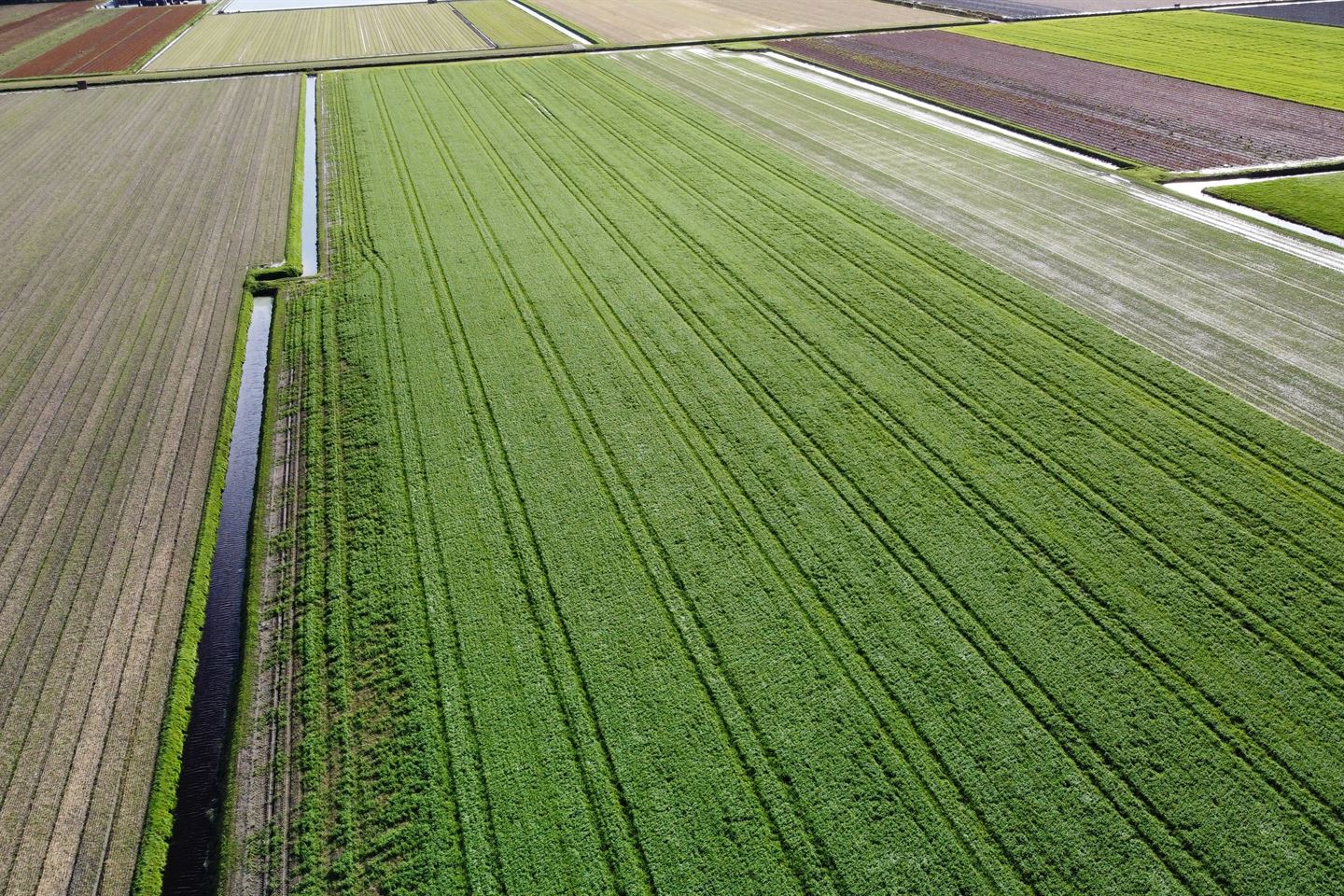 Bekijk foto 5 van Nollenweg 4-nabij