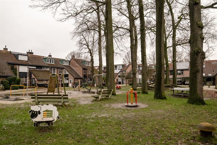 Bekijk foto 25 van Onlandhorst 81