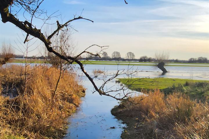 Bekijk foto 47 van Dennenoordpark 2