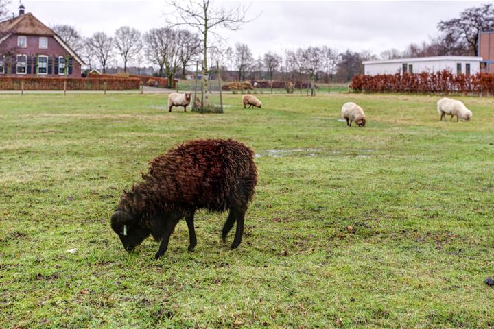 Bekijk foto 47 van Nijkerkerweg 68