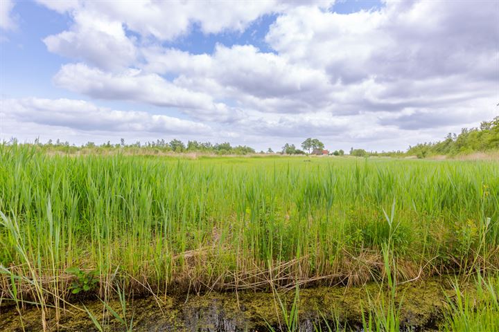 Bekijk foto 48 van Spangahoekweg 11