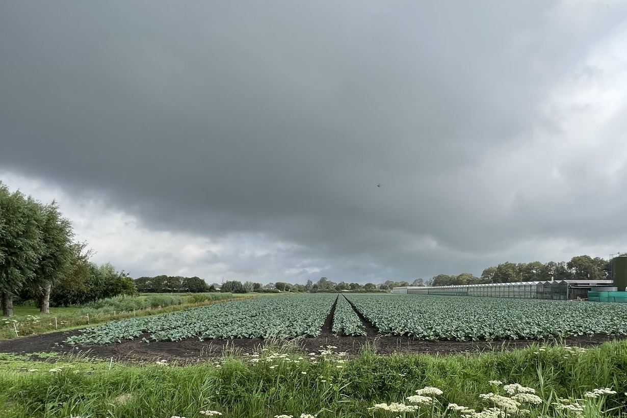 Bekijk foto 1 van Gemaalweg