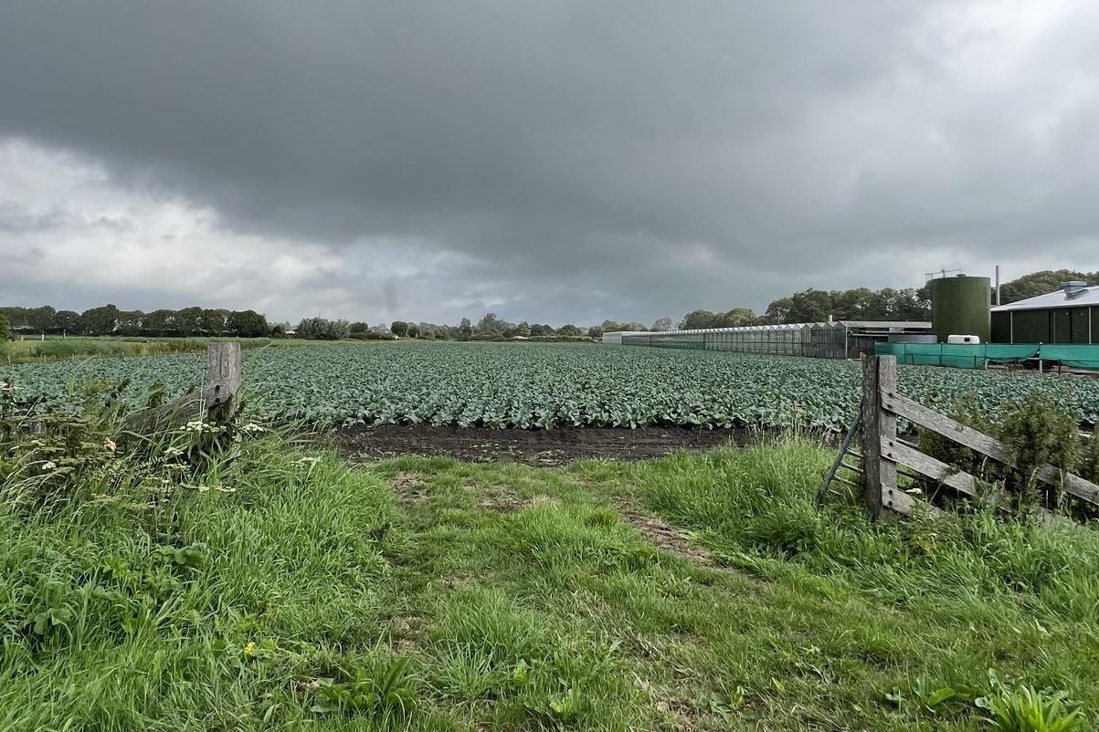 Bekijk foto 2 van Gemaalweg