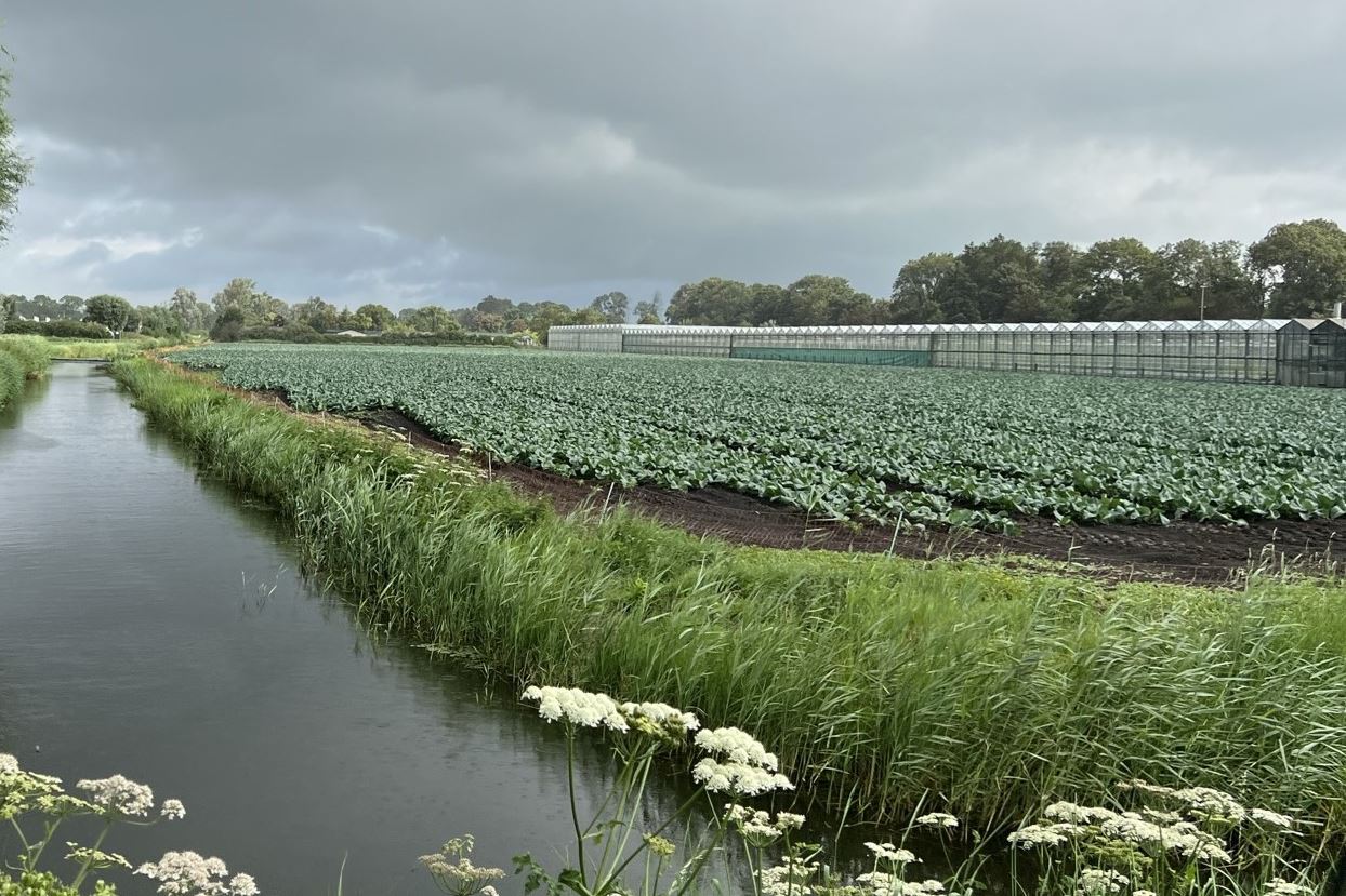 Bekijk foto 3 van Gemaalweg