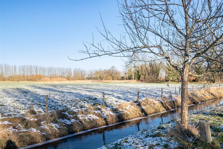 Bekijk foto 34 van Wimpel 55