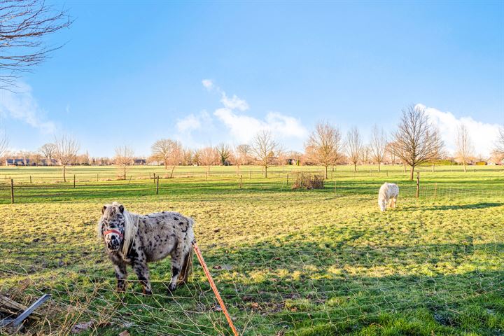 Bekijk foto 39 van Holhorstweg 13