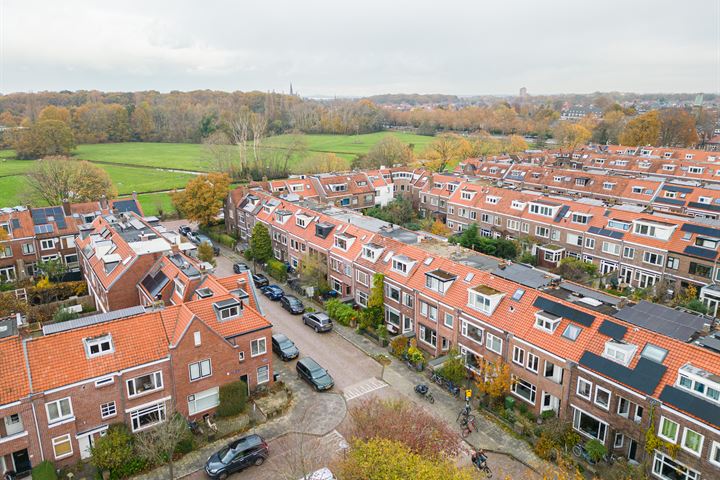 Bekijk foto 48 van Leeuwerikstraat 41