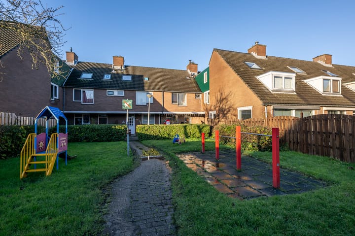 Foto 31 van Lijsterbes 10