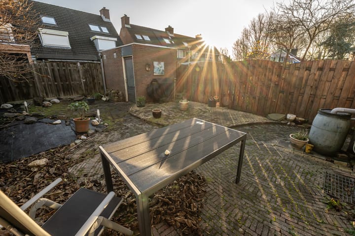 Foto 35 van Lijsterbes 10