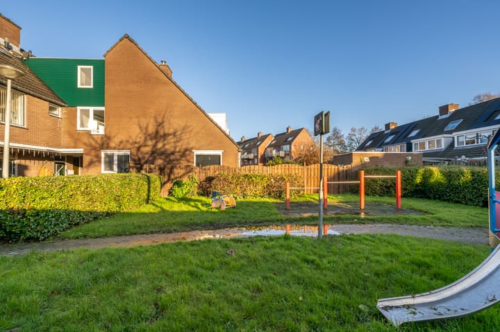 Foto 28 van Lijsterbes 10