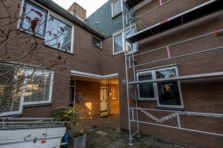 Foto 38 van Lijsterbes 10