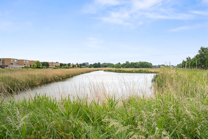 Bekijk foto 50 van Zomerdijkstraat 52