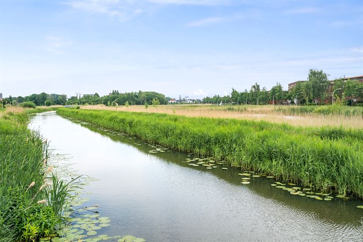 Bekijk foto 53 van Zomerdijkstraat 52