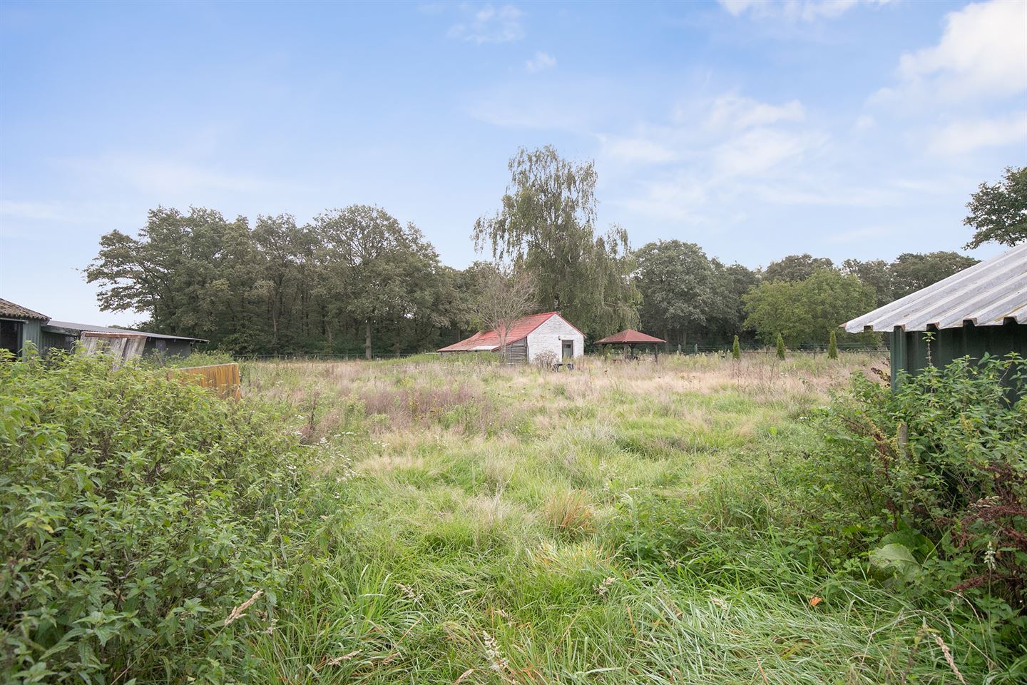 Bekijk foto 4 van Zandstraat