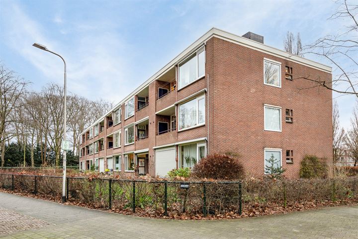 Bekijk foto 3 van Karbouwstraat 5