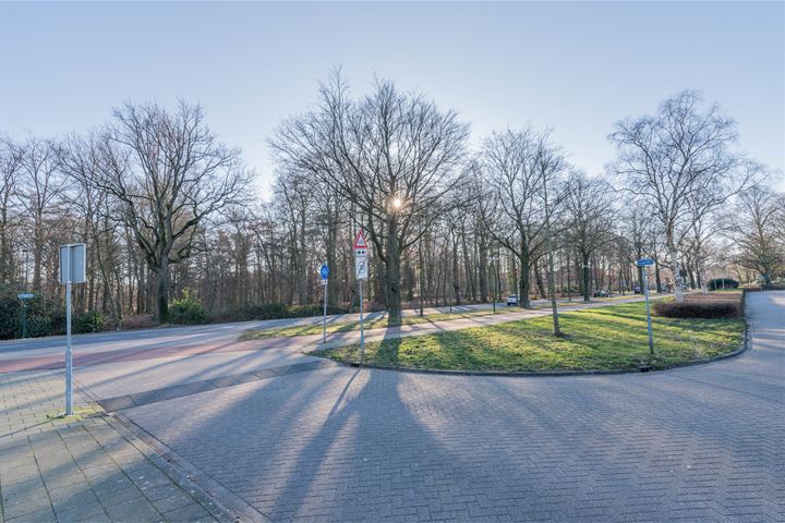 Bekijk foto 19 van Soestdijkseweg Zuid 87-A-31