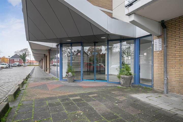 Bekijk foto 30 van Buizerdstraat 248