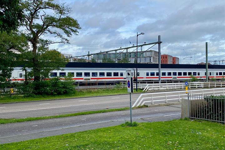 Bekijk foto 34 van Laan van de Mensenrechten 320