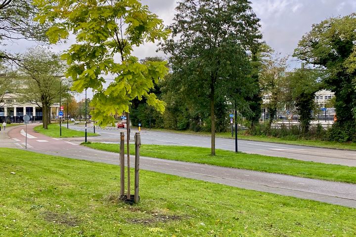 Bekijk foto 33 van Laan van de Mensenrechten 320