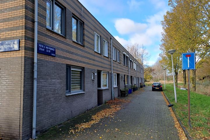 Bekijk foto 3 van Pieter A. van Heijningestraat 125