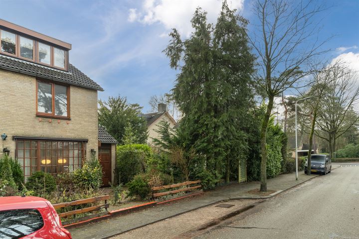 View photo 45 of van Hallstraat 29