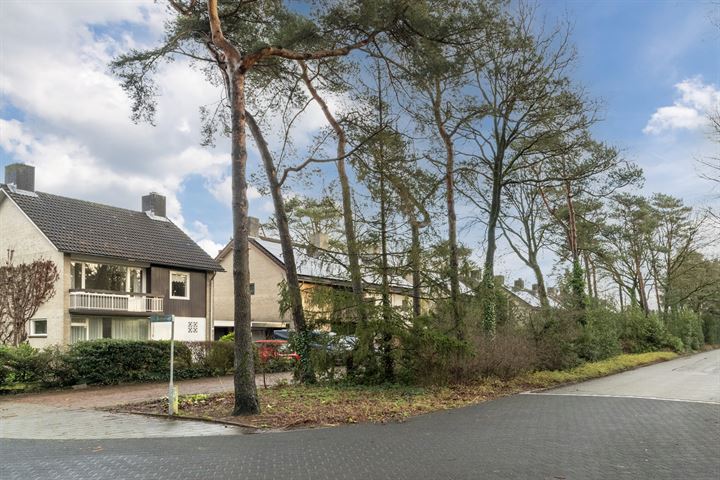 View photo 44 of van Hallstraat 29