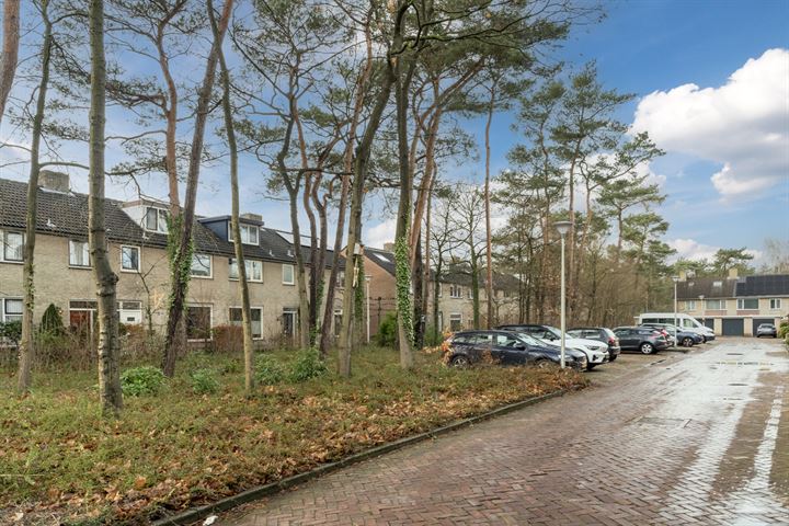 View photo 43 of van Hallstraat 29