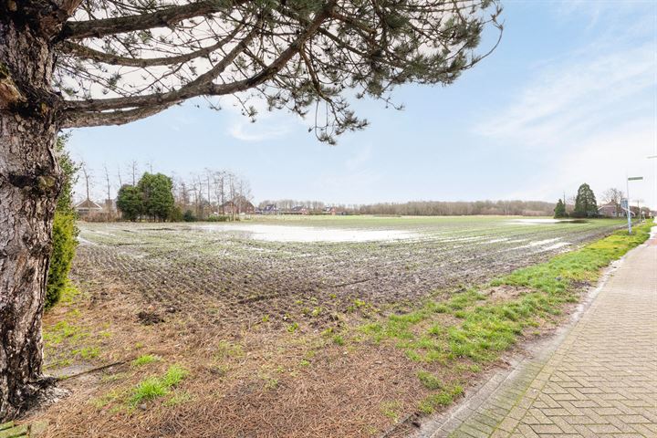 Bekijk foto 41 van Compagniesterwijk 26