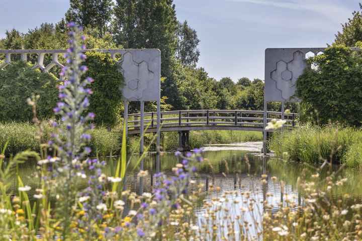 Bekijk foto 43 van Dudoksingel 123