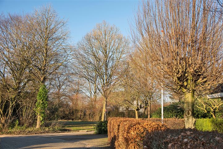 Bekijk foto 40 van Zuid Esch 11-A