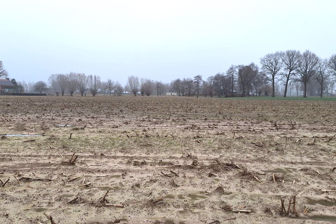 Bekijk foto 5 van Lankerenseweg