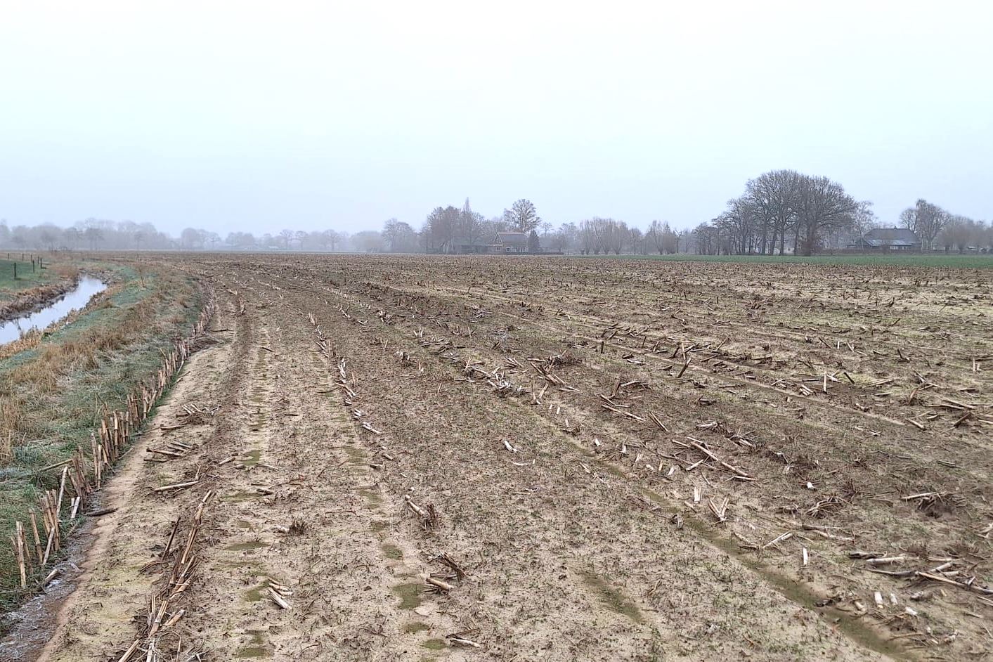 Bekijk foto 2 van Lankerenseweg