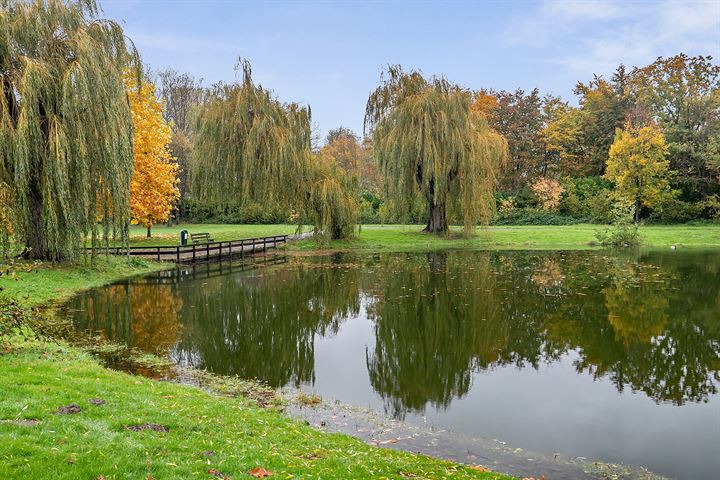 Bekijk foto 33 van Breetweerlaan 4