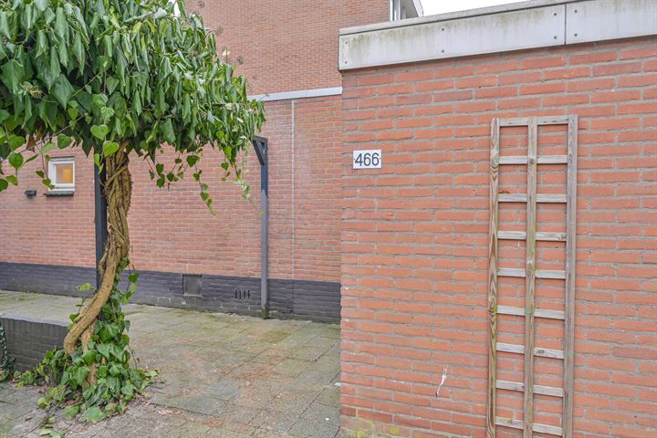 Bekijk foto 9 van Laan van de Iemenhees 466